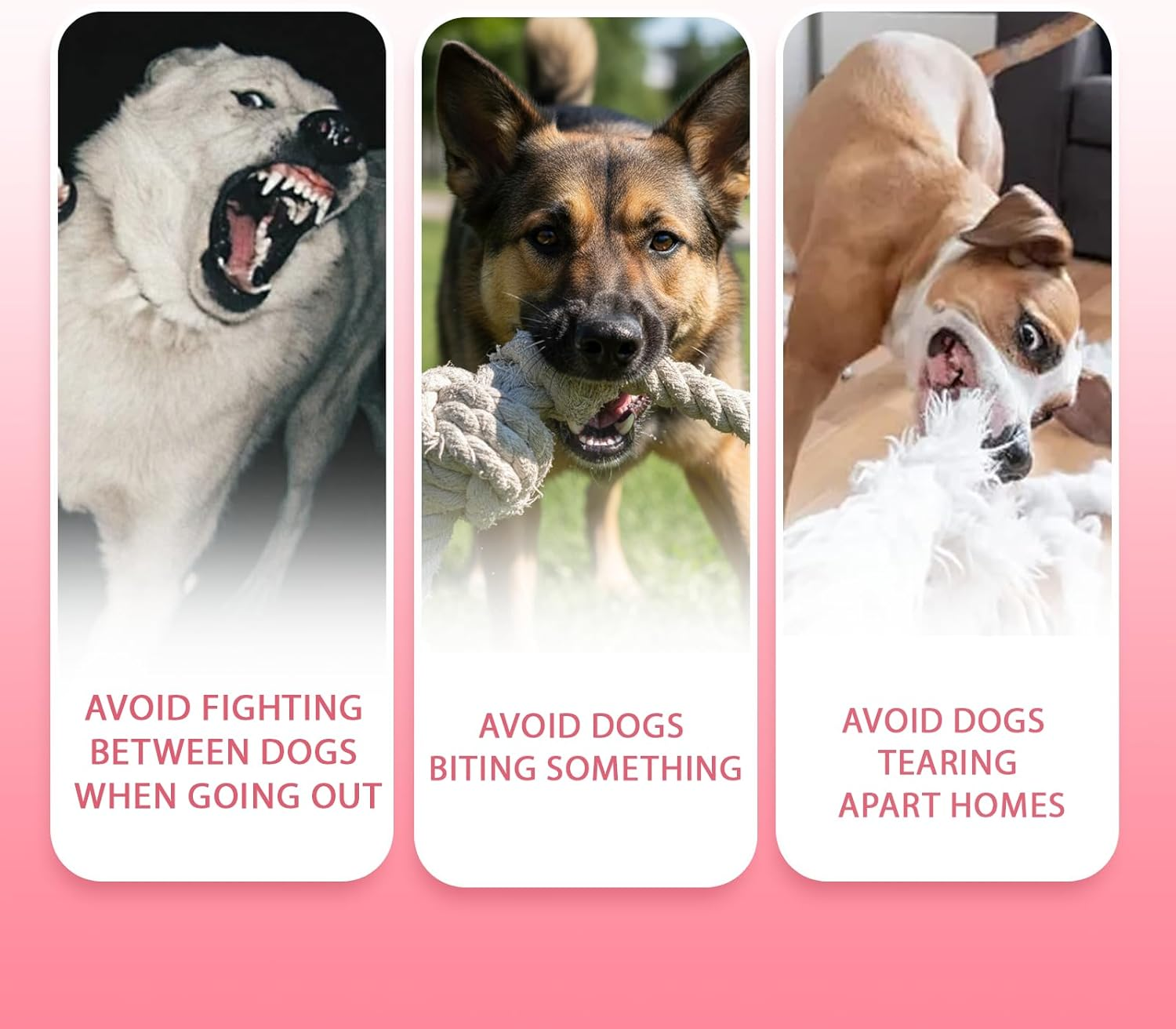 Dog Muzzle- Breathable Soft Mesh Muzzle for Medium Dogs Adjustable Strap,Secure Soft Pad & Comfortable Muzzle anti Biting Barking and Chewing for Grooming,Training,Walking (M Size,Black) image number 4