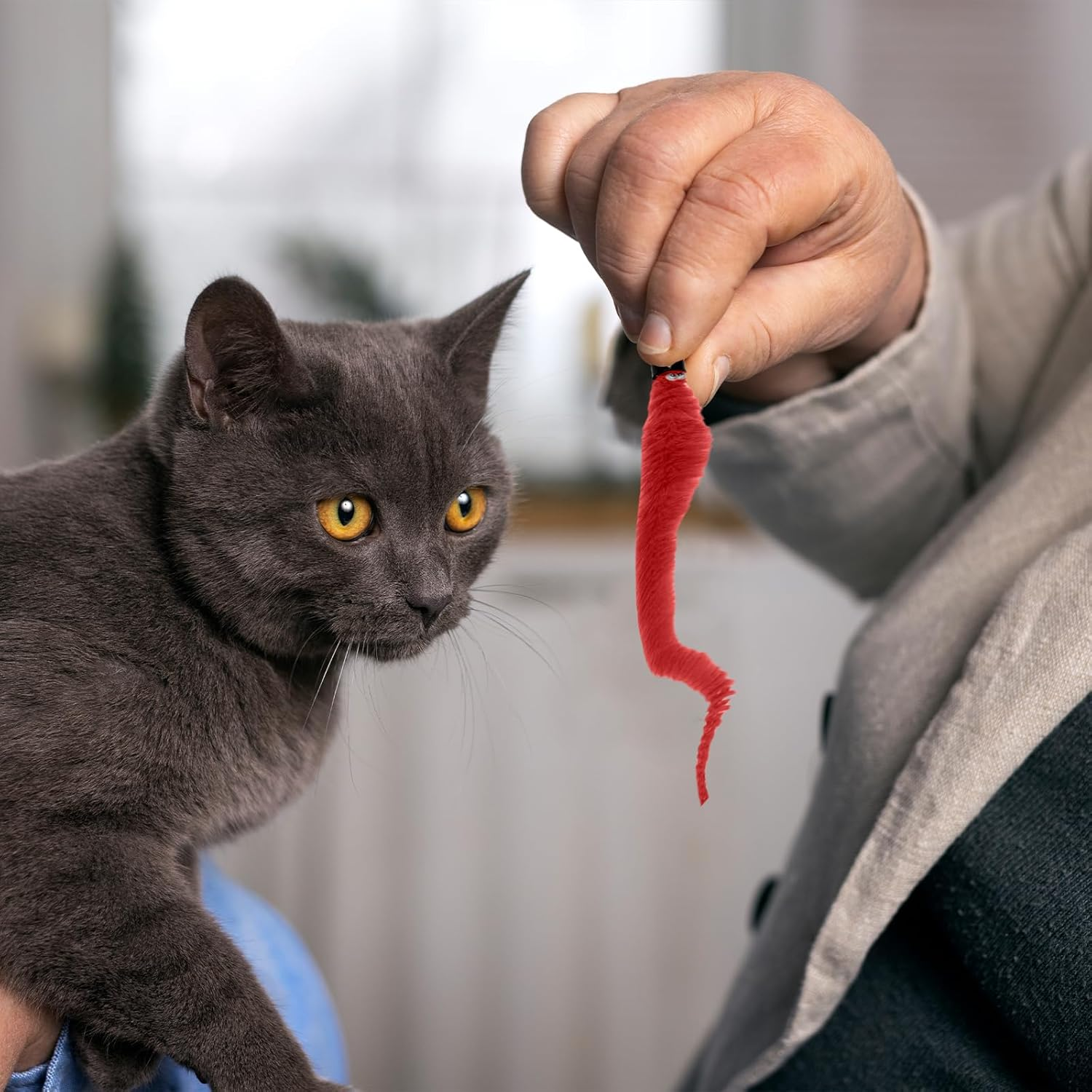 WELANE Cat Worm Toy Refills, 10 PCS Assorted Colors Worm Cat Interactive Toy for Teaser Replacement