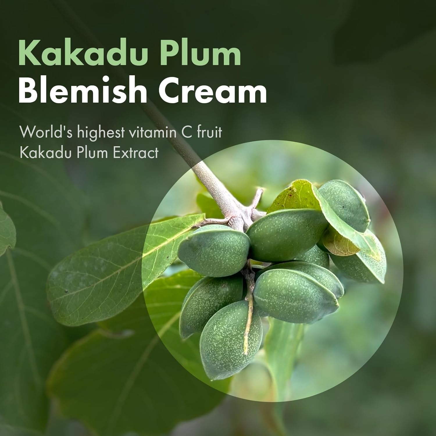 TOSOWOONG Kakadu Plum Blemish Cream, Dark Spot Remover for Face Cream, Kakadu Plum 600,000Ppm, Niacinamide, Adenosine, Betaine, Dark Spot Corrector, Vitamin C, Korean Skin Care, 50G, 1.76 Oz. image number 5