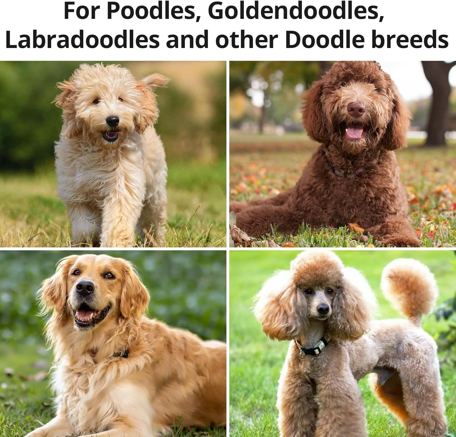 Long Pin Slicker Brush for Dematting & Grooming Long-Haired Poodle & Doodle Breeds for Fluff Detangling & Keeping Mats Free on Poodles, Goldendoodles & Curly Dogs (Blue, 20 * 10Cm)