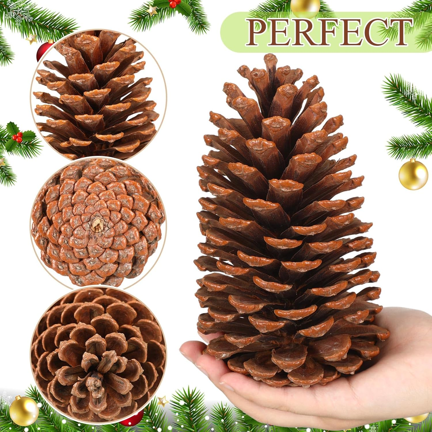 Huwena 12 Pcs Pinecones Large Natural Unscented Pine Cones Bulk Rustic Christmas Tree Ornaments Decorative No Chemicals for Crafts DIY Wreath Home Wedding Decoration (3-4 Inches)