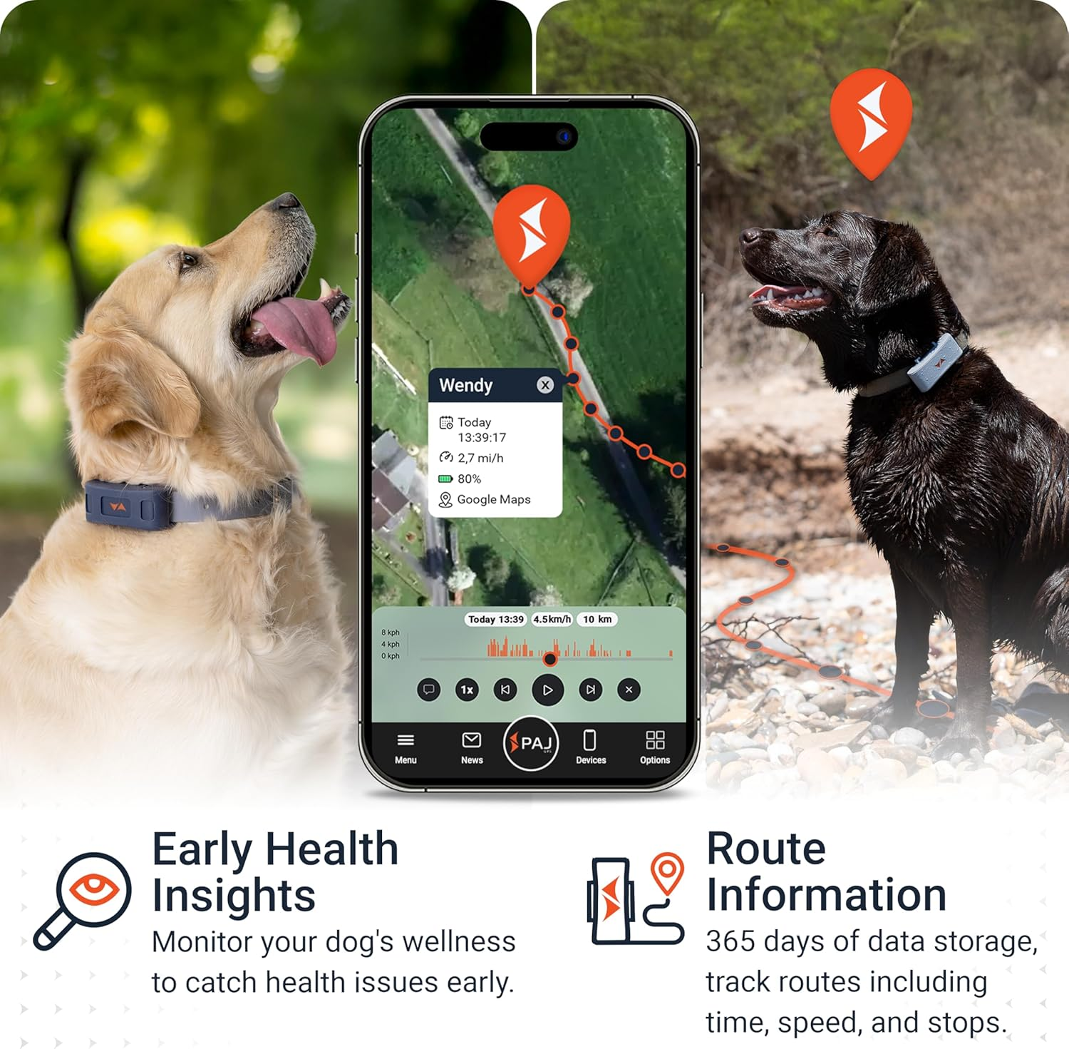 PAJ PET Tracker for Dogs - Worldwide Live Tracking + Health Monitoring + Runaway Alerts - up to 10 Days Battery Saver - Glowing LED Cases - Waterproof (IP67) - Fits Any Collar - Black - Blue image number 6