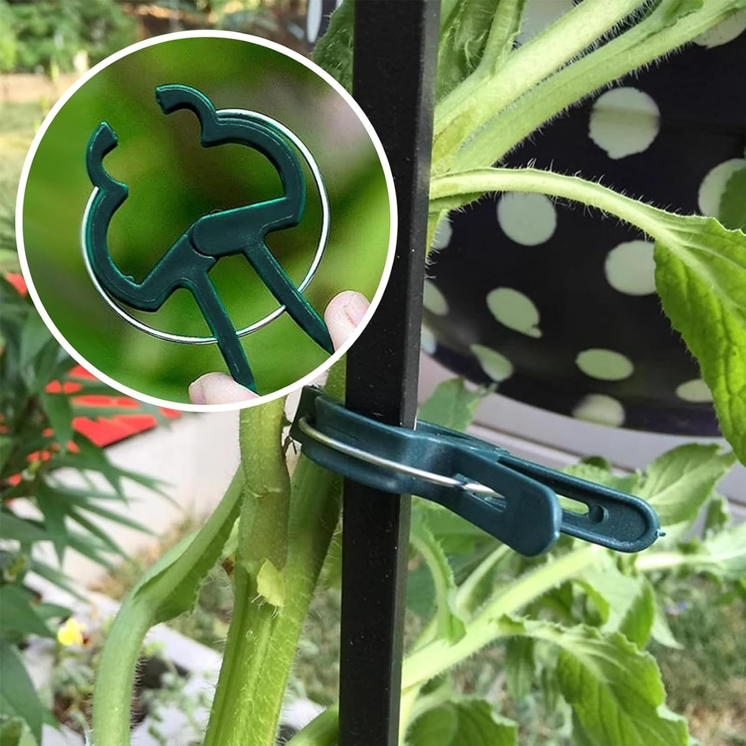 Plant Support Clips for Vines & Tomatoes | Reusable Garden Clips for Strong Vine Support & Healthy Growth | Ideal for Tomato Plants and Climbing Garden Plants (20Small 20Big) image number 2