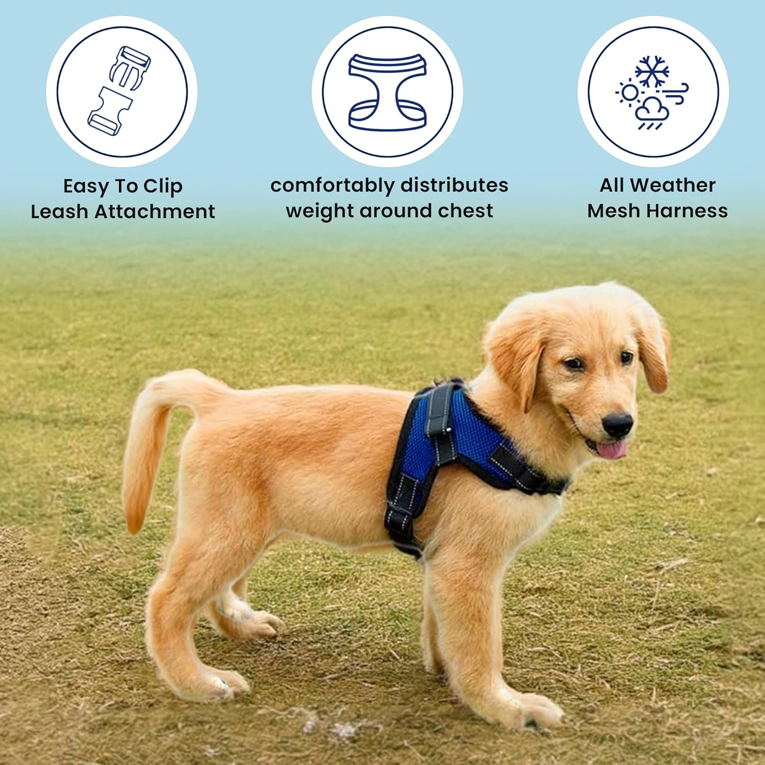 Copatchy No Pull Reflective Adjustable Dog Harness with Handle (Xx-Small, Blue) image number 6
