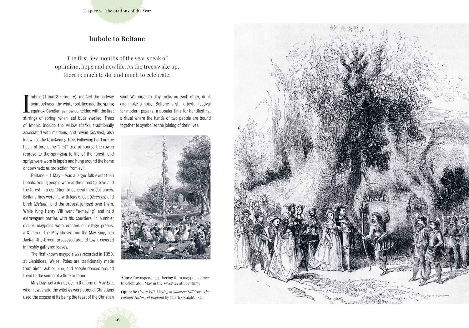 Kew - Witch'S Forest: Trees in Magic, Folklore and Traditional Remedies image number 3