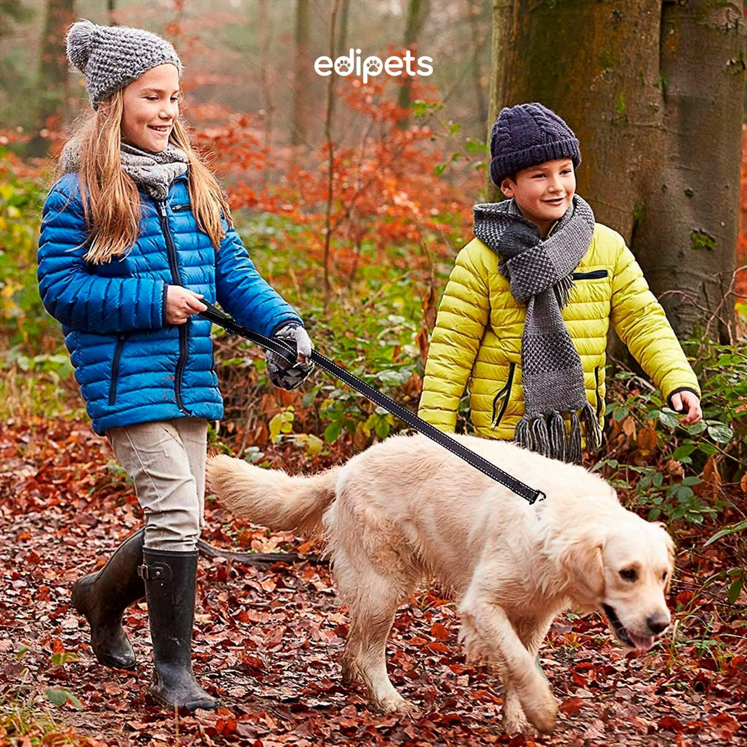 Edipets, Large Dog Leash with Double Padded Handle, Reflective 6Ft Non-Slip Dog Leash for Medium Large Dogs for Walking Your Pet (Black/Black) - Black/Green image number 7