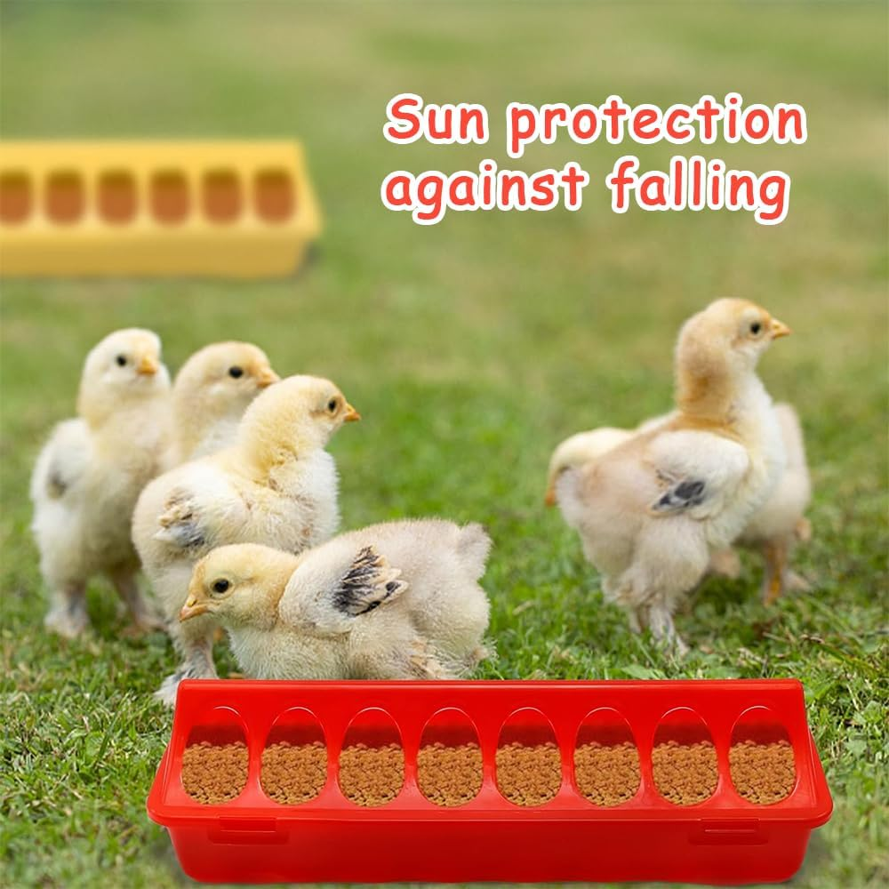 6-Pack Plastic Small Poultry Feeders, Chicken Feeding and Drinking Dispensers, Spill-Proof Feeding Trays with Flip Lids and Holes for Pigeons, Quail, Small Birds, Ducks and Chickens