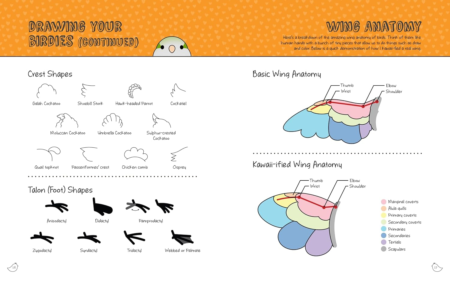 Kawaii Birdies: Learn to Draw over 75 Adorable Feathered Friends image number 4