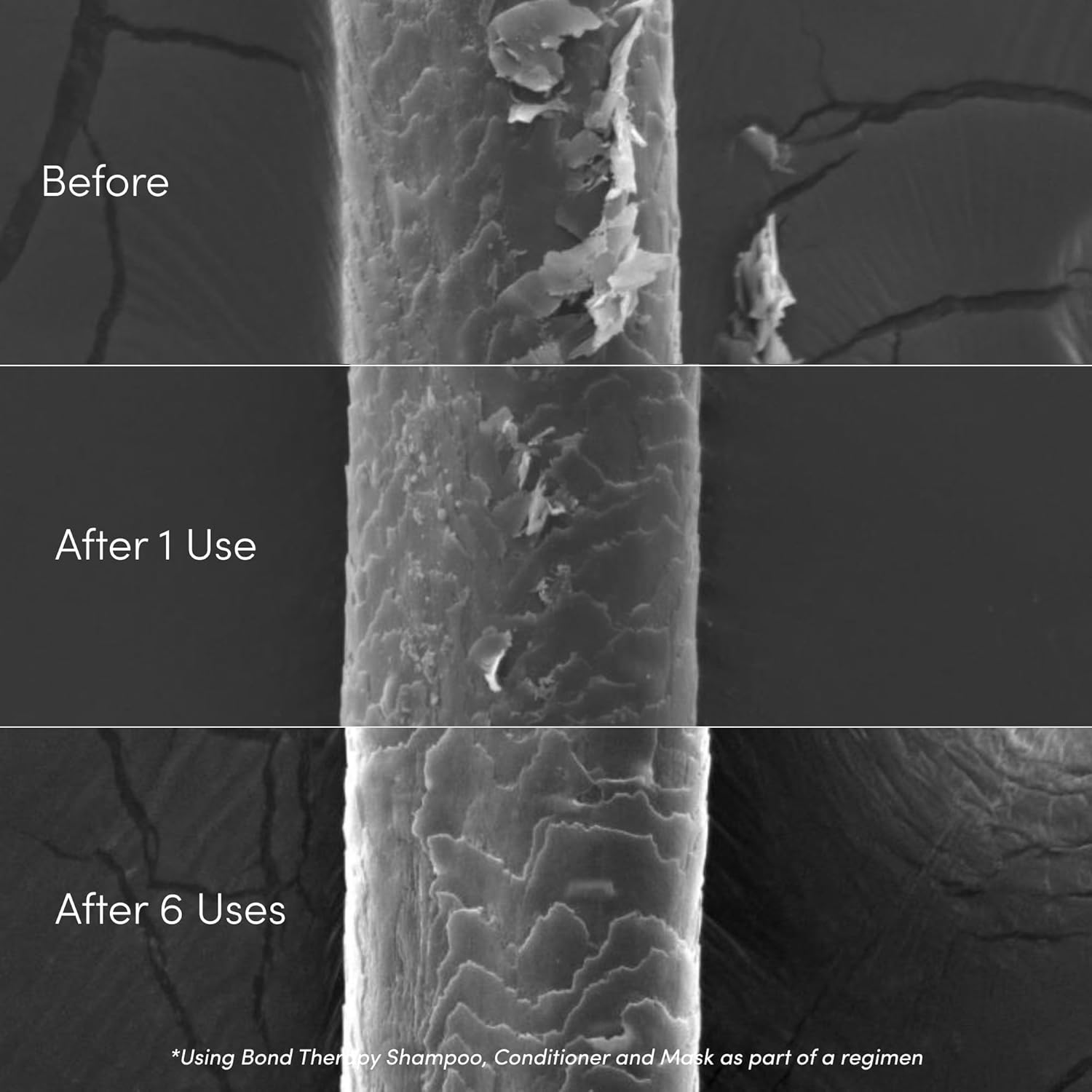 Coco & Eve Bond Therapy Pro Bond Conditioner. Strengthens and Repairs Hair Bonds with Less Breakage. Hydrating, Nourishing Conditioner for Damaged, Chemically Treated Hair. (280 Ml) image number 2