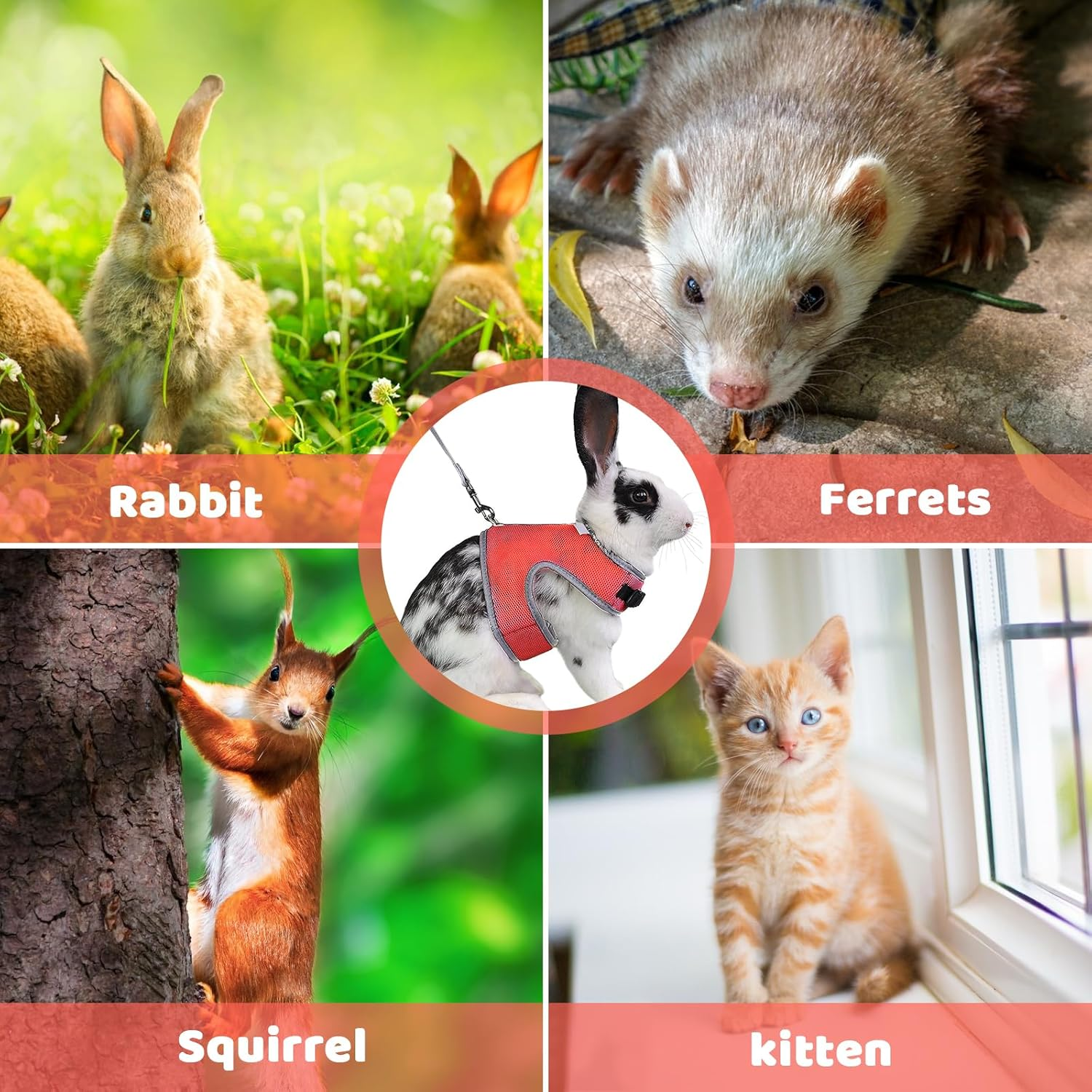 Dokeno Cat Harness, Cat Vest with Lead, Escape Proof Dog Harness, Pet Chest Strap, Universal Soft Harness, Rabbit Lead, Safety Harness for Kittens, Rabbits, Small Pets, Blue image number 4