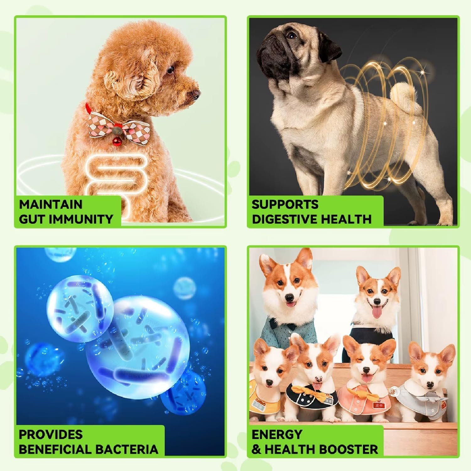 3-In-1 Probiotics for Dogs with Digestive Enzymes & Prebiotics &ndash; Supports Gut Health, Immunity, Diarrhea Relief & Allergies &ndash; Liquid Drops (60Ml) for Puppies & Adults &ndash; Bacon Flavor image number 3