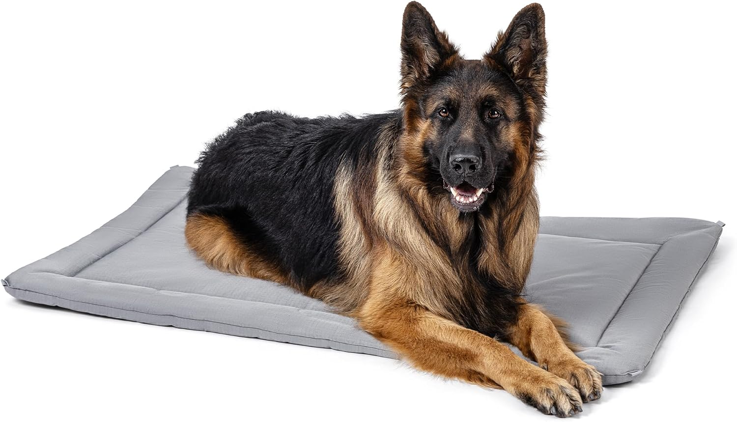 Cybarmour Chew Proof Dog Crate Pad - Outdoor Chew Resistant Dog Bed - Tough - Potable - Machine Washable - Water & Dirt-Resistant - Extra Large Breeds & Fits L 122Cm Crate - 119X74Cm, Limestone