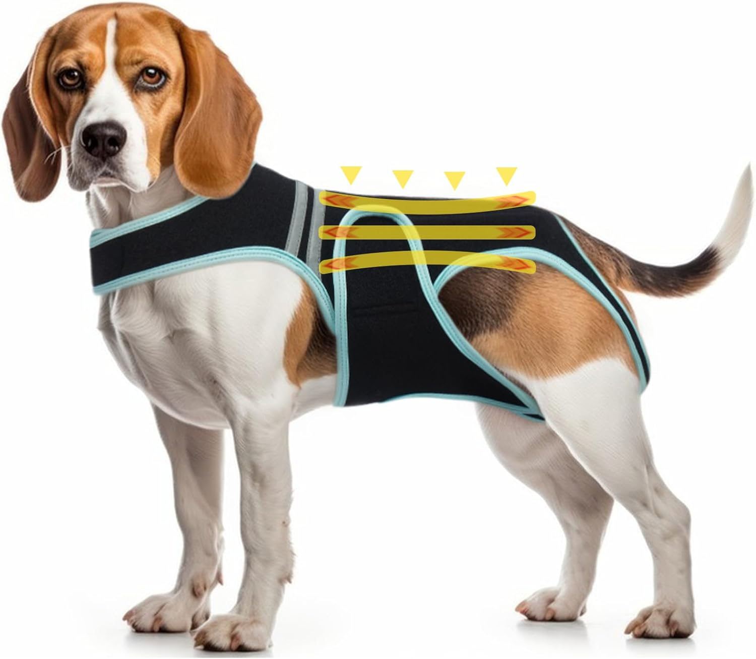 PUMYPOREITY Back Bandage for Dogs, Arthritis for Relieving Back Pain, Schian Surgical Recovery and Rehabilitation (XL) image number 2