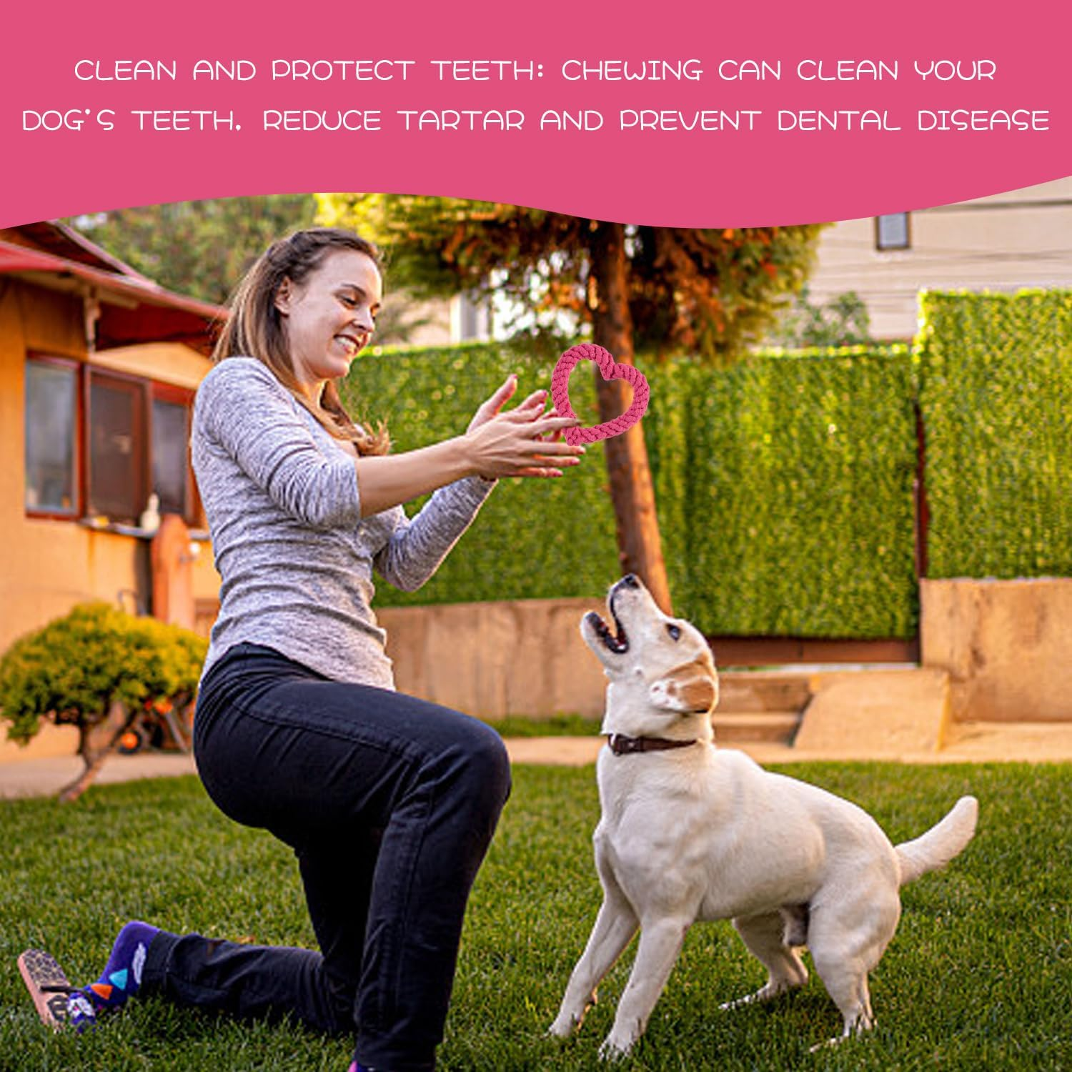 HDGSAFD Pack of 2 Pet Chew Toys, Heart-Shaped Braided Rope Toy, Pet Supplies, Suitable for Small and Medium Dogs image number 3