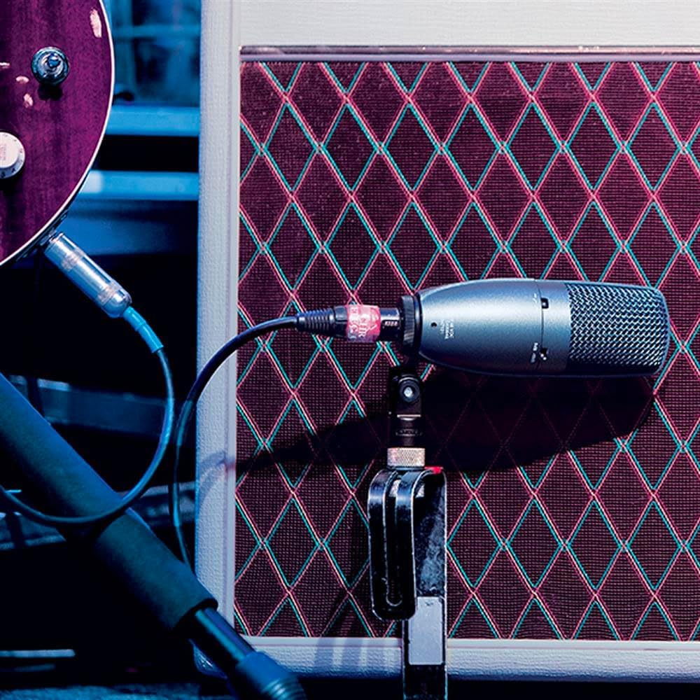 Shure BETA 27 Supercardioid Side-Address Condenser Microphone for Instrument and Vocal Applications image number 3