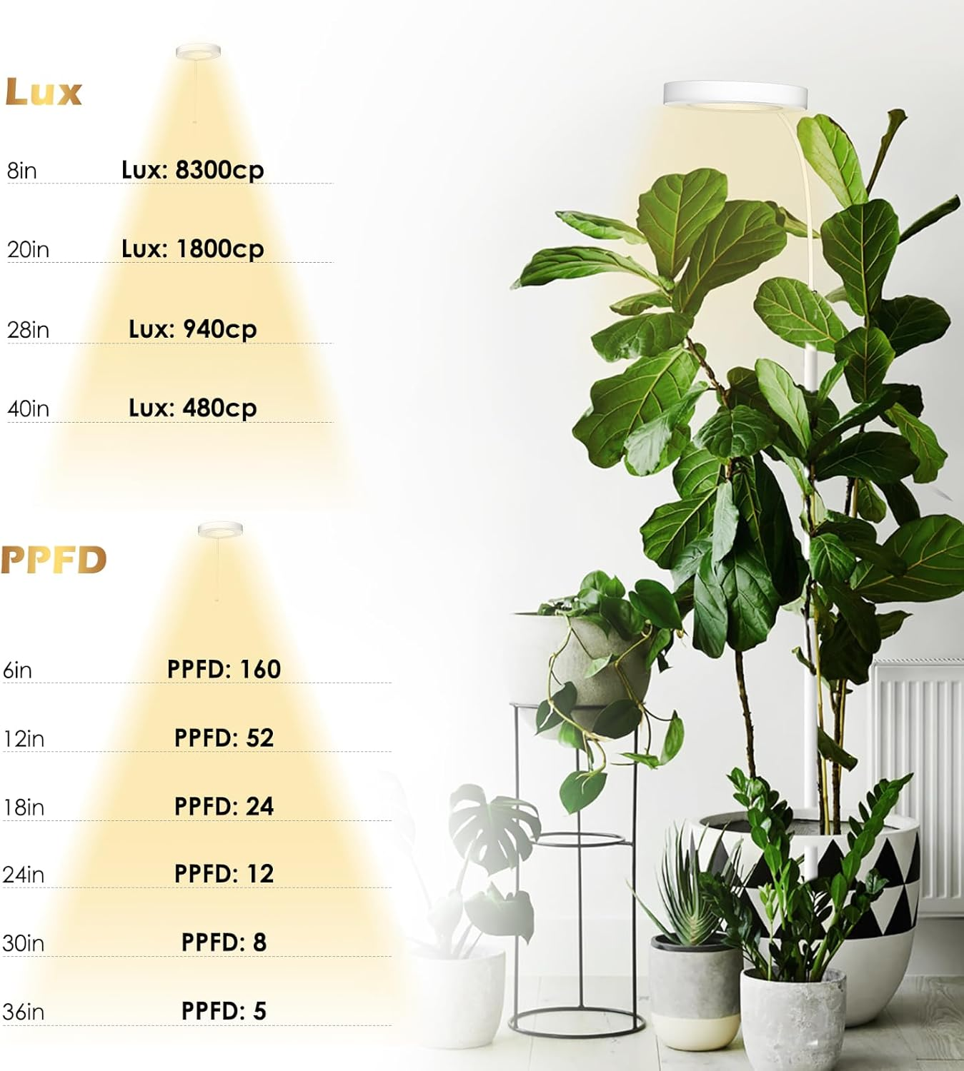 GLOWRIUM Grow Lights for Indoor Plants, 20W Full Spectrum LED Grow Floor Lamp with Stand Adjustable Height and Angle, White Plant Light with 3/9/12H Grow Light Timer image number 3