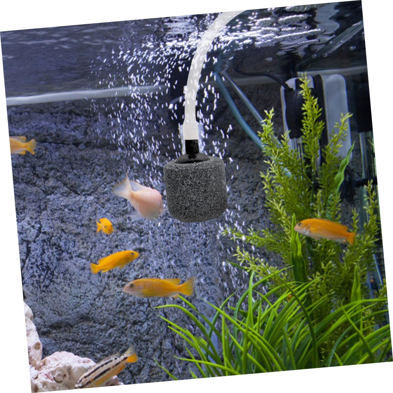 ROMISBABA 10Pcs Aquarium Air Stones for Fish Tank Mute Bubble Diffuser for Freshwater Seawater Oxygen Stones for Hydroponics Aquarium Decoration Pet Health Unique Aquatic Landscape image number 1
