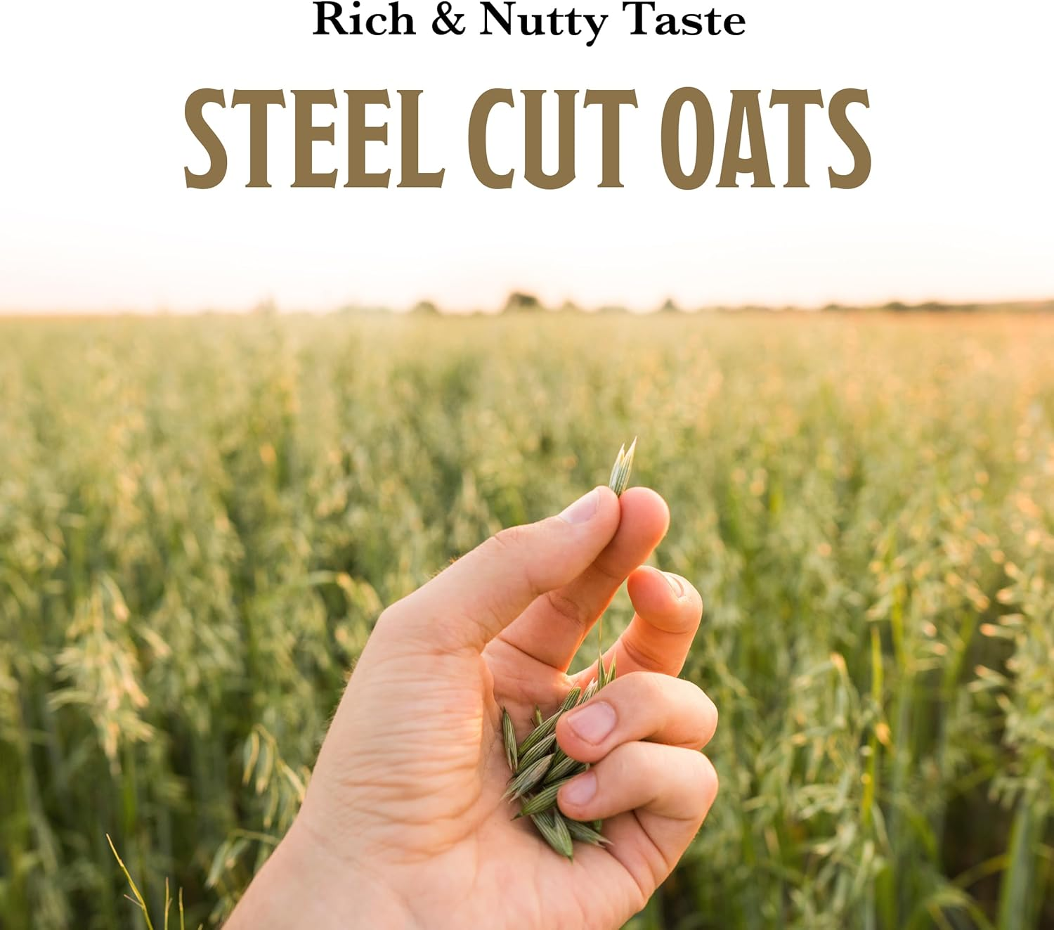 Mccann'S Irish Oatmeal, Traditional Steel Cut Oats, 28 Ounce Bag