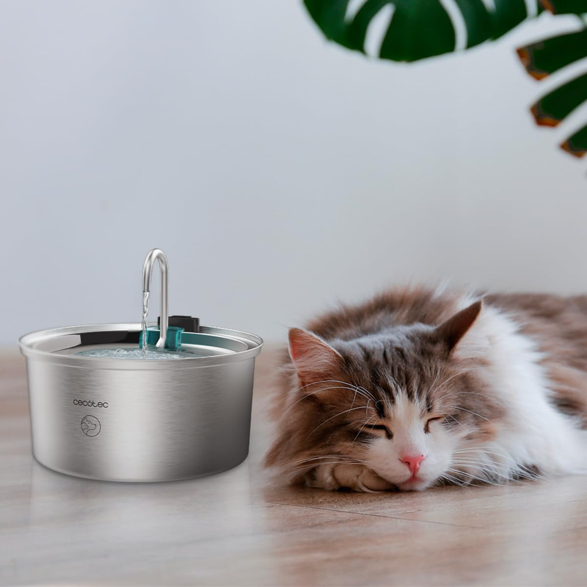 Cecotec Pumba 3200 Refresh Stainless Steel Automatic Pet Fountain for Cats, Stainless Steel, High Performance Filter, Quiet, Waterfall Design, IPX4, Easy Cleaning image number 1