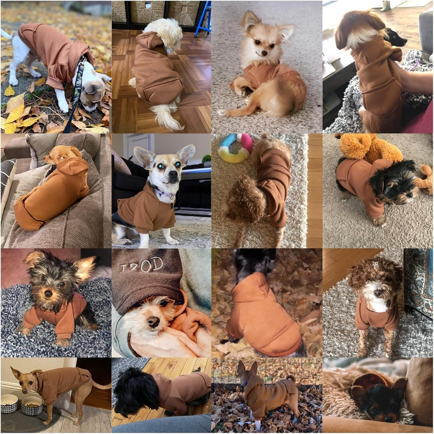 Fashion Focus on New Winter Dog Hoodie Sweaters with Pockets Cotton Warm Dog Clothes for Small Dogs Chihuahua Coat Clothing Puppy Cat Custume (Coffee, Small)