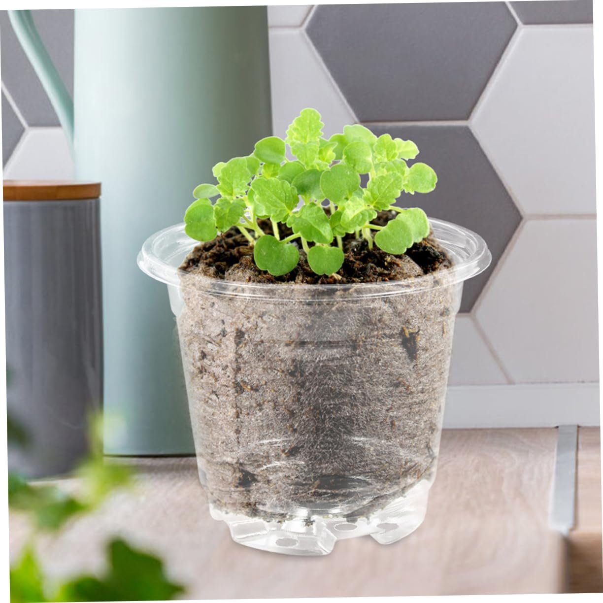 GAROZATION 10Sets Plant Pots Insulated Nursery Pots Drainage Seedling for Outdoor Flower for Garden Supply image number 2