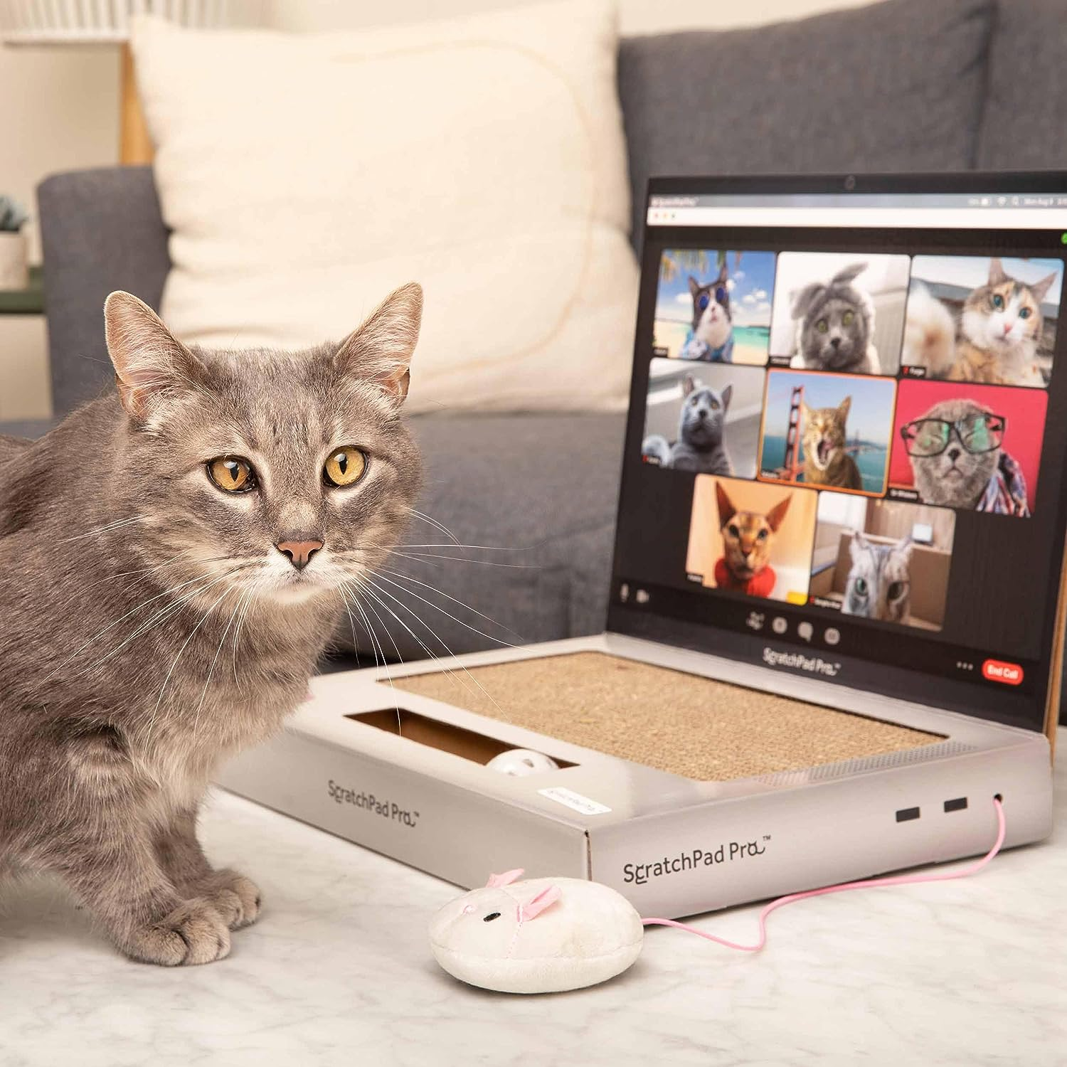 Scratchpad Pro &mdash; Cardboard Laptop Cat Scratcher image number 1