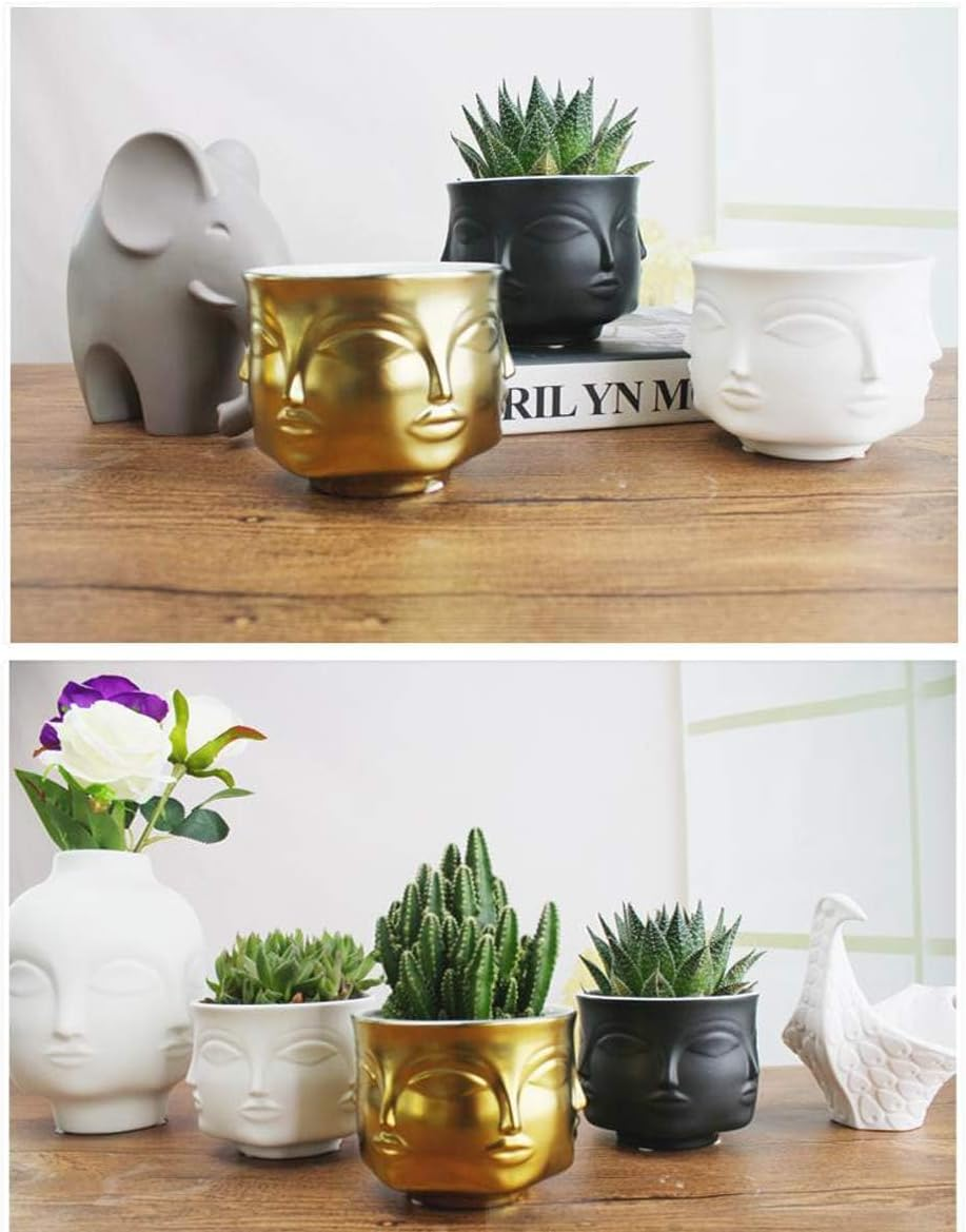 Ceramic Gold Face Planter Head Face Vase Home Decoration Succulent Cactus Indoor Plant Pot Versatility Designs image number 3