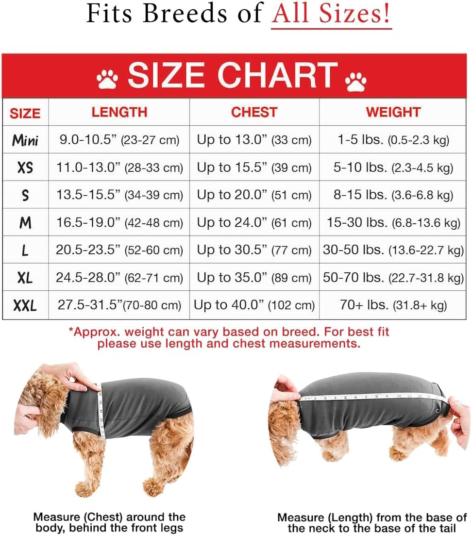 Belly Guard - Dog Recovery Onesie - Cone Alternative - after Surgery Wear (Medium, Grey) image number 2