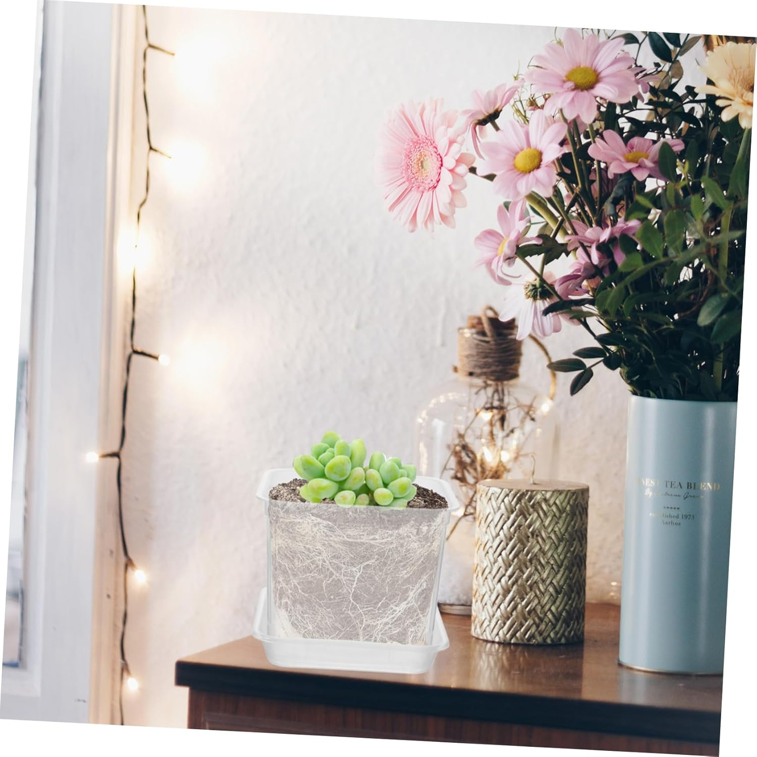 Baluue Flower Pots Plastic Plant Pots Drainage Orchid for Indoor Outdoor Plant for Succulent image number 5