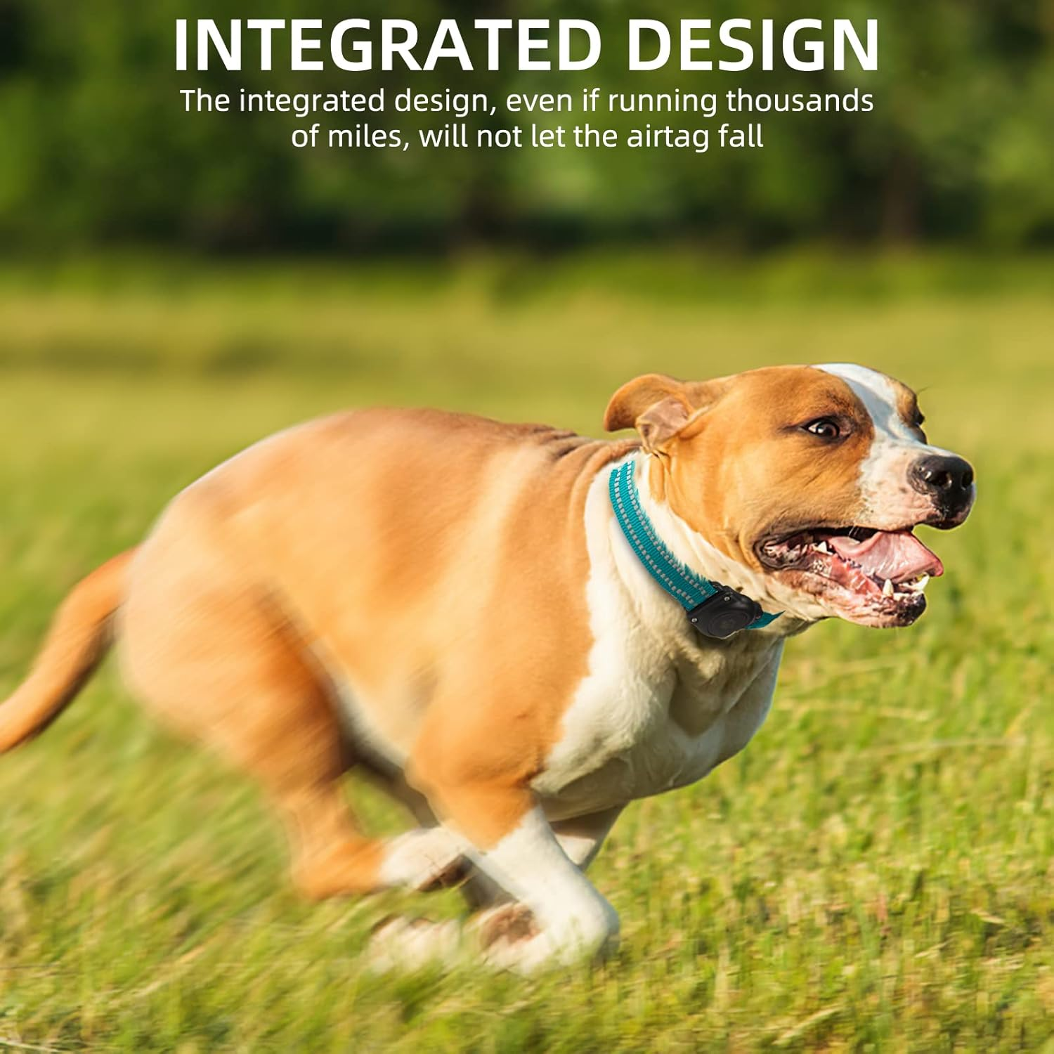 Airtag Dog Collar, 100% Waterproof Integrated Apple Air Tag Dog Collars, Reflective GPS Dog Collar with Hard PC Airtag Holder Case for Small Medium Large Dog image number 6