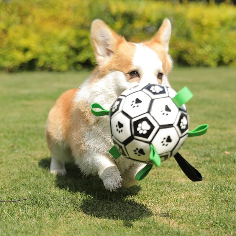 Ultimate Fun with Interactive Dog Balls - Perfect Toys for All Dogs!