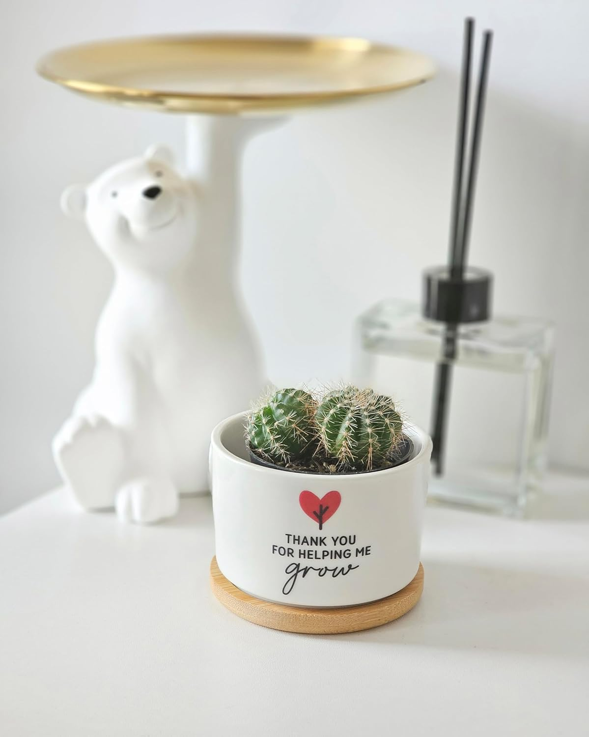 Ceramic Planter Pot with Bamboo Saucer, Thank You for Helping Me Grow Heart Design, Ideal for Succulents, Cacti, and Mini Plants, Teacher Gift image number 3