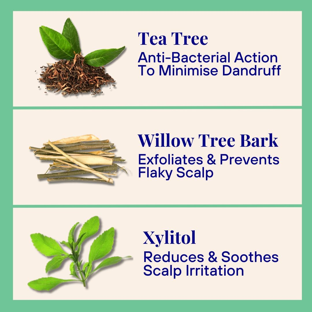 Exfoliating & Balancing Shampoo (Thyme & Tea Tree) 20G Mini Bottle' Specified Cannot Be Used as It Conflicts with the Value 'Exfoliating Foaming Powder Shampoo for Dandruff | 20X Washes | Vegan, Eco-Friendly, Tea Tree, Salicylic Acid 0.7 Mini Aluminum Bottle