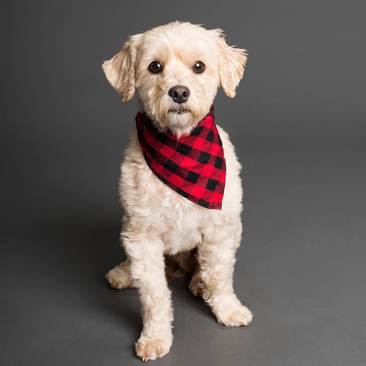 RTRTGS Set of 4 Classic Checked Dog Bandana Made of Cotton, Dog Triangle Neckerchief, Adjustable Bandana, Triangular Scarf for Dogs in Various Sizes (60 X 40 X 40 Cm), Multicoloured