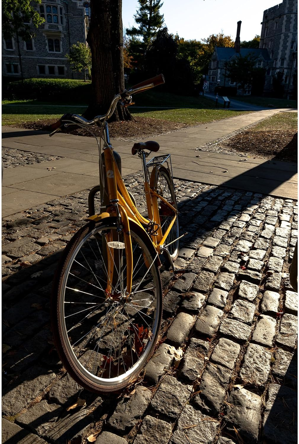 16Mm F1.4 DC DN for RF Mount image number 2