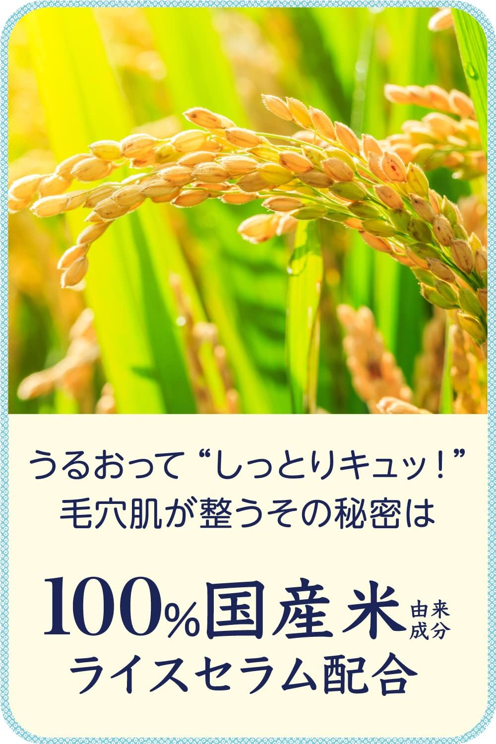 Ishizawa-Lab Keana Rice Mask 10-Pieces image number 4