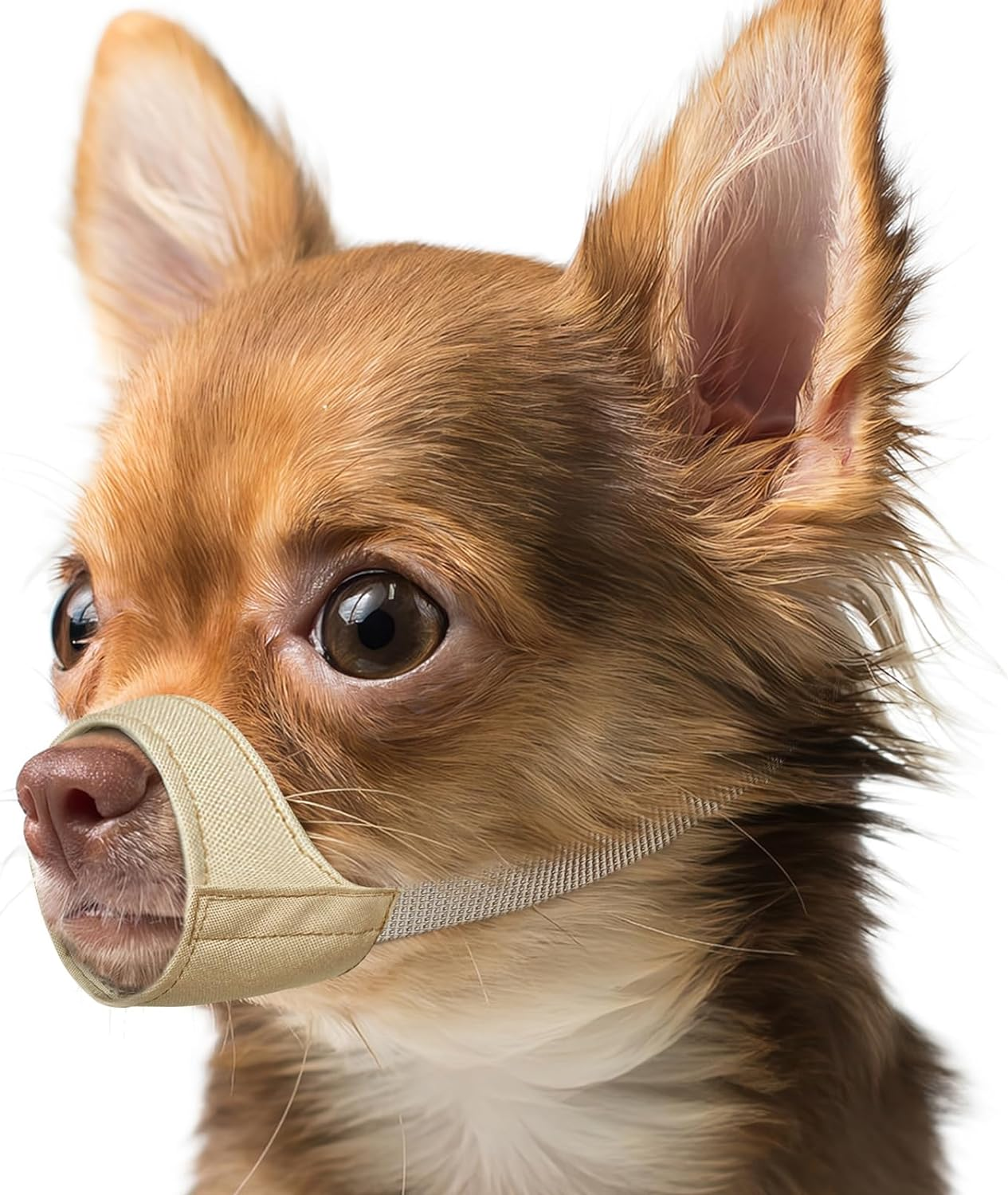 Mayerzon Short Snout Dog Muzzle, Small Muzzle for Chihuahua Shih Tzu American Bully Boxer Puppy, Soft Fabric Muzzles for Grooming Vet Visits, Prevent Biting Chewing Fighting image number 2