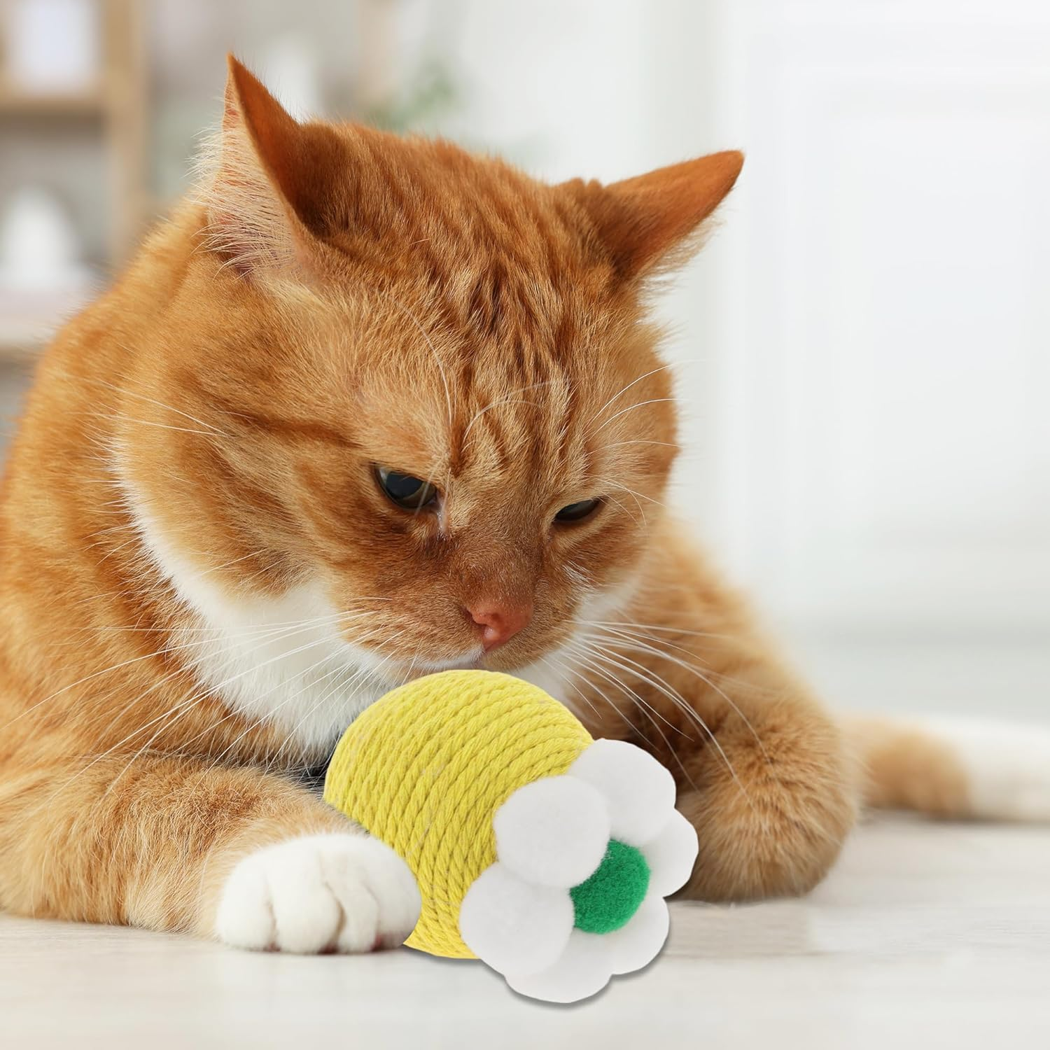 CAPASTEC Cat Playing Ball Interactive Cat Balls Indoor Yellow image number 2