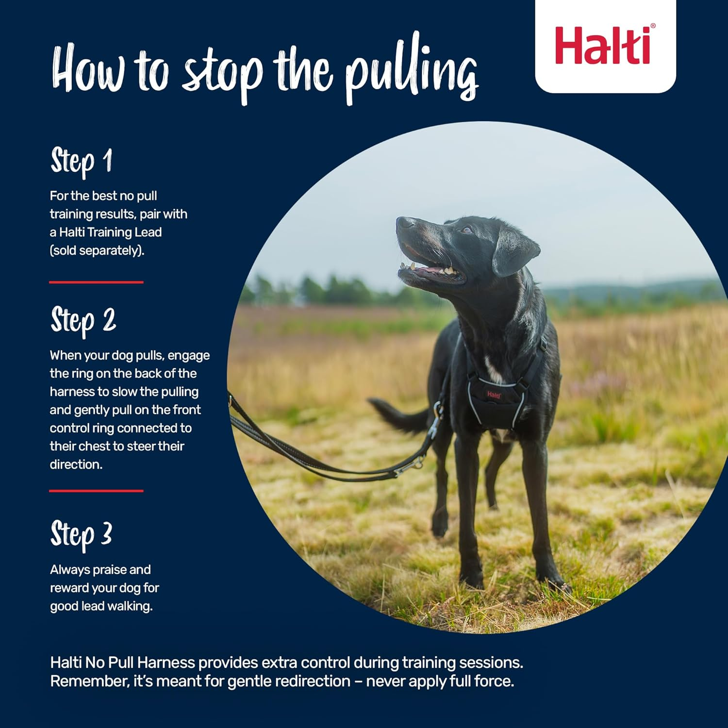 HALTI No Pull Anti-Pull Harness - Prevents Your Dog from Pulling on the Lead, Padded Chest and Leg Strap, Reflective Strap Material, Easy Adjustment and Use (Size M, Walnut Brown) image number 7