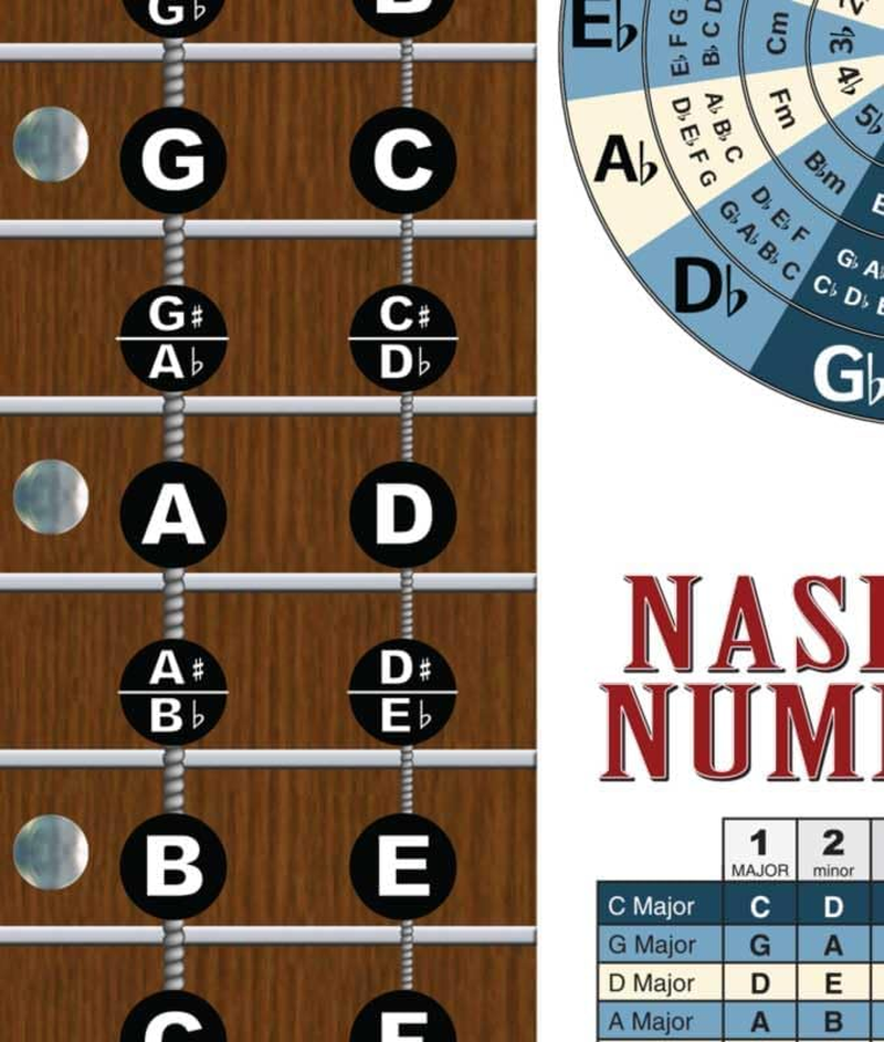 A New Song Music Laminated 4 String Bass Fretboard Notes Chart Nashville Number System & Circle of 5Ths Easy Instructional Poster for Beginner for Notebook 2024-8.5" X 11"