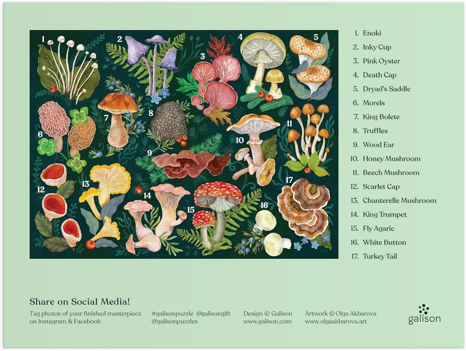 Galison 9780735382268 World of Mushrooms Puzzle (1000-Pieces) image number 5