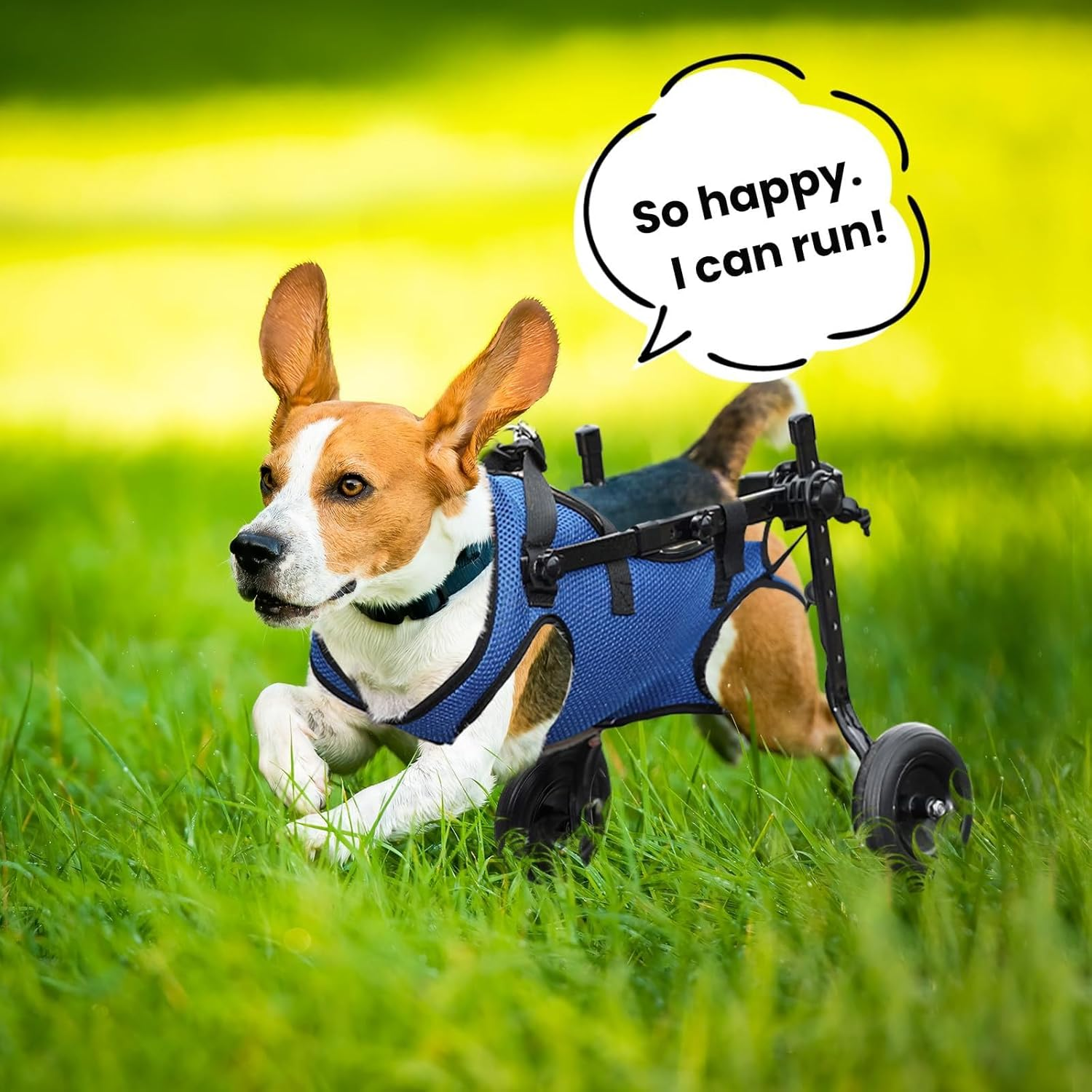 Lightweight Dog Wheelchair for Back Legs, Small Pet Mobility Aid Cart for Disabled Hind Limbs, Adjustable Dog/Cat Wheelchair with Wheels image number 5