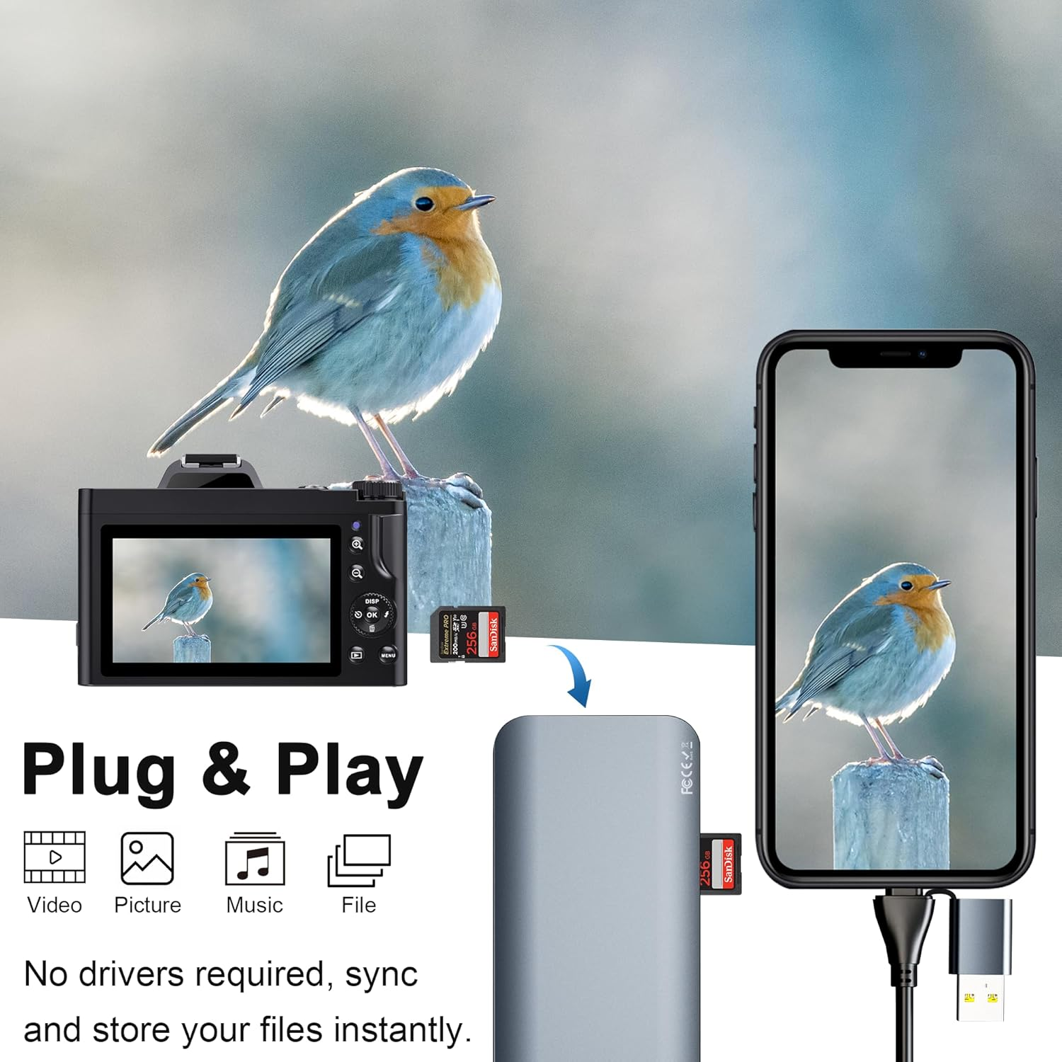 USB C USB3.0 SD Card Reader, 7 in 2 Memory Card Reader Dual Connector Adapter Multiport Hub 5Gbps for 5 Ports Simutaneously, SD TF Micro SD CF XD MS Cards Supports SDXC SDHC MMC MS Pro-Duo Multi Card image number 4