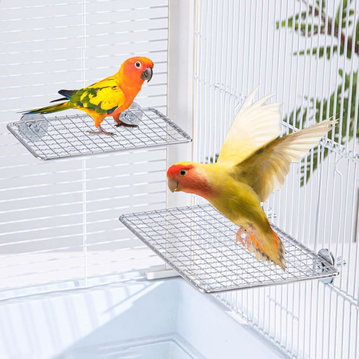 SUSOO 2 Pcs Stainless Stee Bird Perches Platform for Bird Cage Accessories,Birds-Safe Bite Resistant Shelves and Easy Clean Bird Shelf Stand for Parrots, Conures, Cockatiel, Budgie and Love Birds