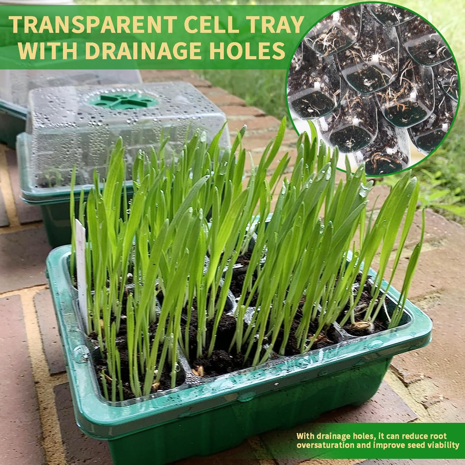 48-Cell Seed Starter Trays, 4 Pack &ndash; Plant Growing Kit with Humidity-Control Domes and Bases for Organic Seed Germination, Includes 15 Plant Labels image number 1