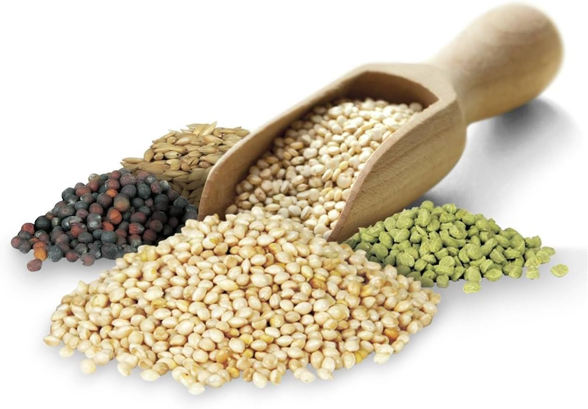 Trill Budgie Mix 1.8 Kg &ndash; Bird Seed Mix with Nutrivit Multivitamin Supplement for Budgies &ndash; Bird Food with Nutritious Millet, Canary, Oats, Wheat, Sorghum, Canola & Lin Seeds image number 4