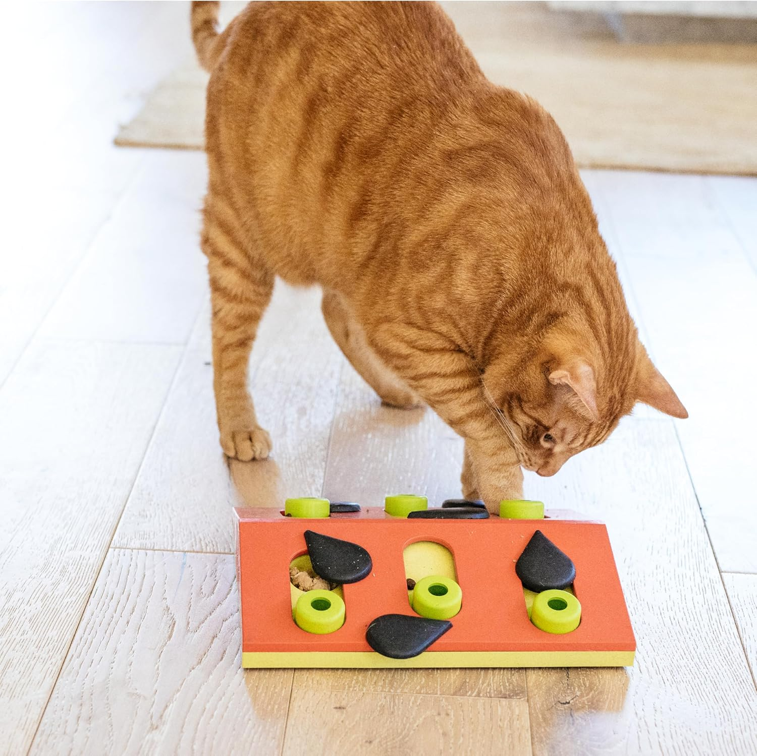 Petstages Nina Ottosson by Melon Madness Puzzle & Play - Interactive Cat Treat Puzzle