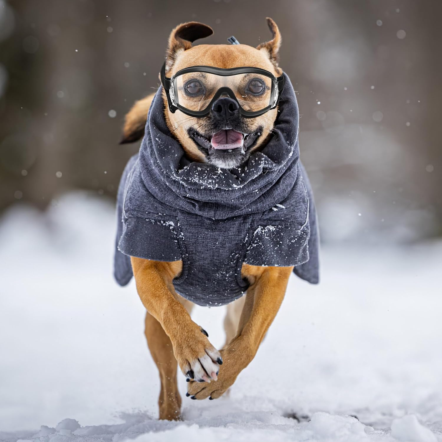 Iplusmile Pet Goggles Windproof Eye Protective Glasses Uv Protection for Dogs and Puppies Lightweight Outdoor Eyewear with Adjustable Strap image number 1