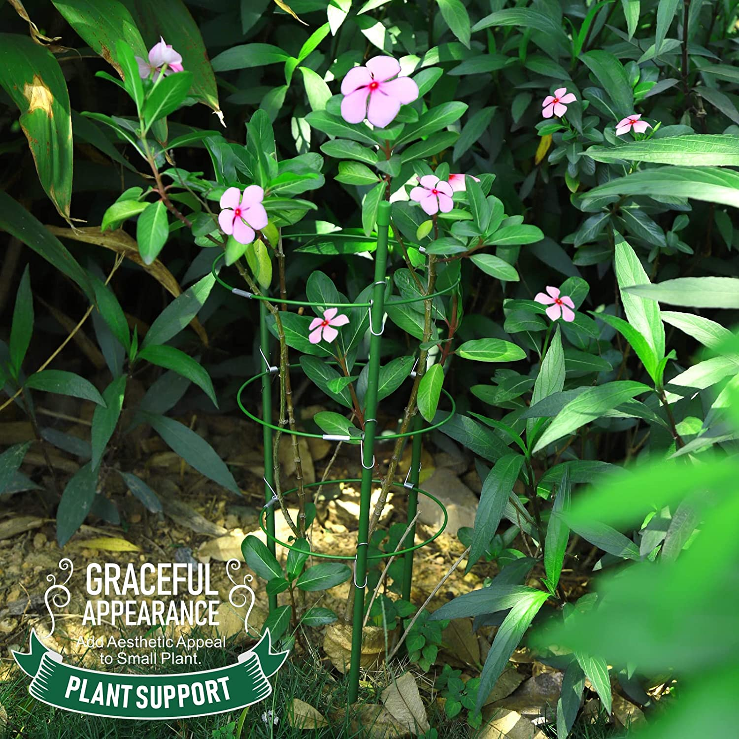 LEOBRO 2 Pack Plant Support Cage Metal Rust Resistant Garden Plant Support Ring Plant Stake Plant Support for Tomato, Trellis, Climbing Plant, Flower, 17.7&rdquo; High, 5.48&rdquo;/6.18&rdquo;/6.89&rdquo; Inner Diameter image number 2