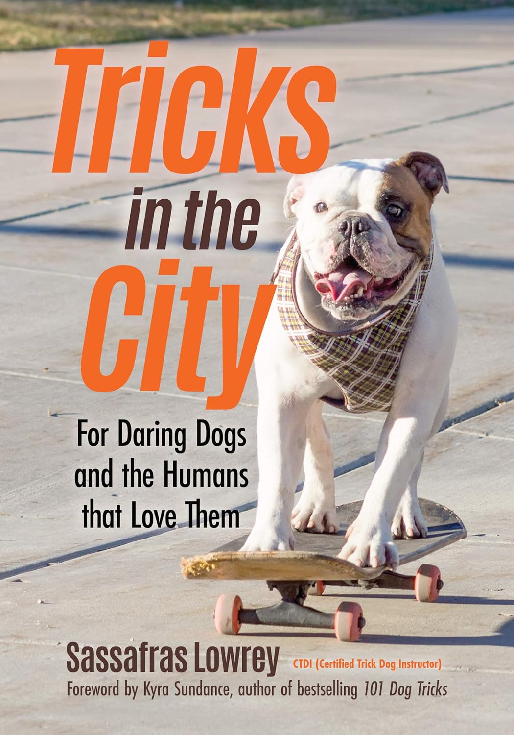 Tricks in the City: for Daring Dogs and the Humans That Love Them (Trick Dog Training Book, Exercise Your Dog) image number 2